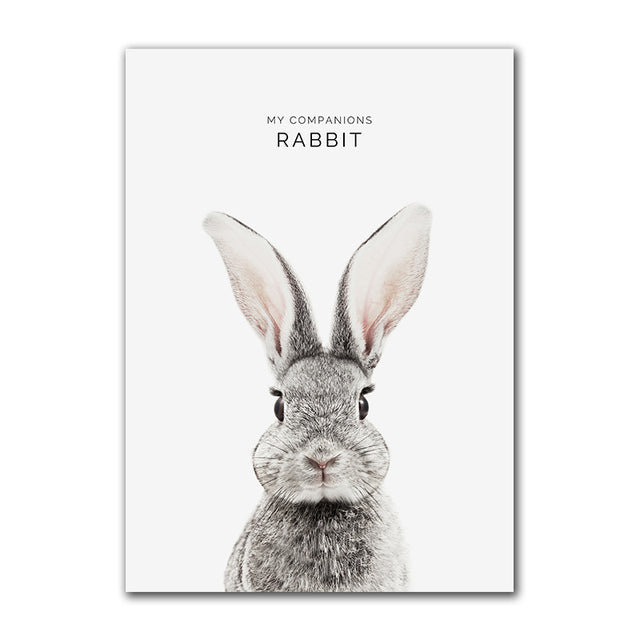 My Companion Cute Animals Canvas Prints
