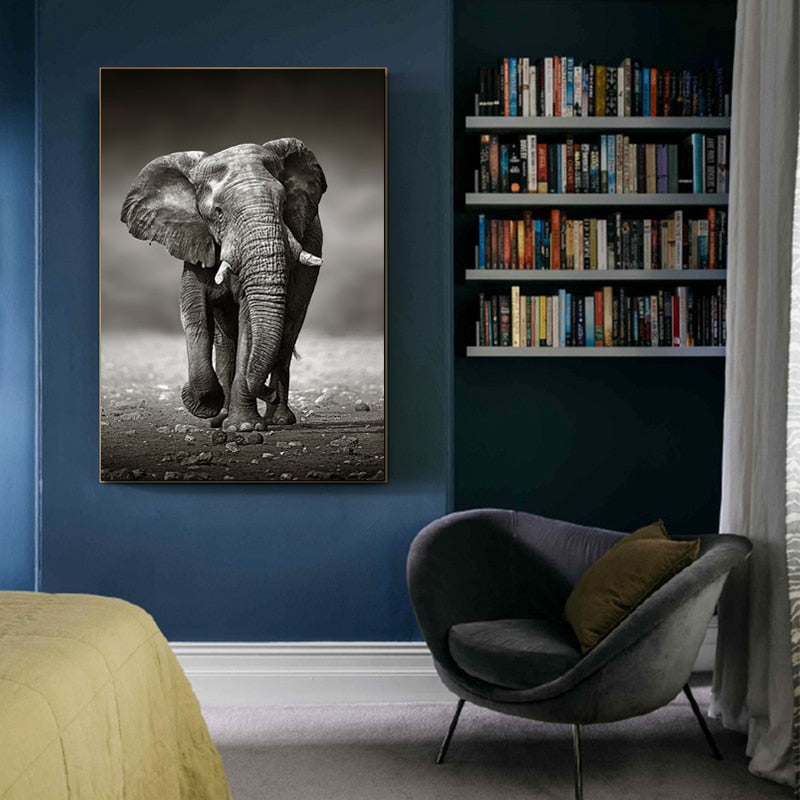 Black & White Elephant Poster Canvas Art