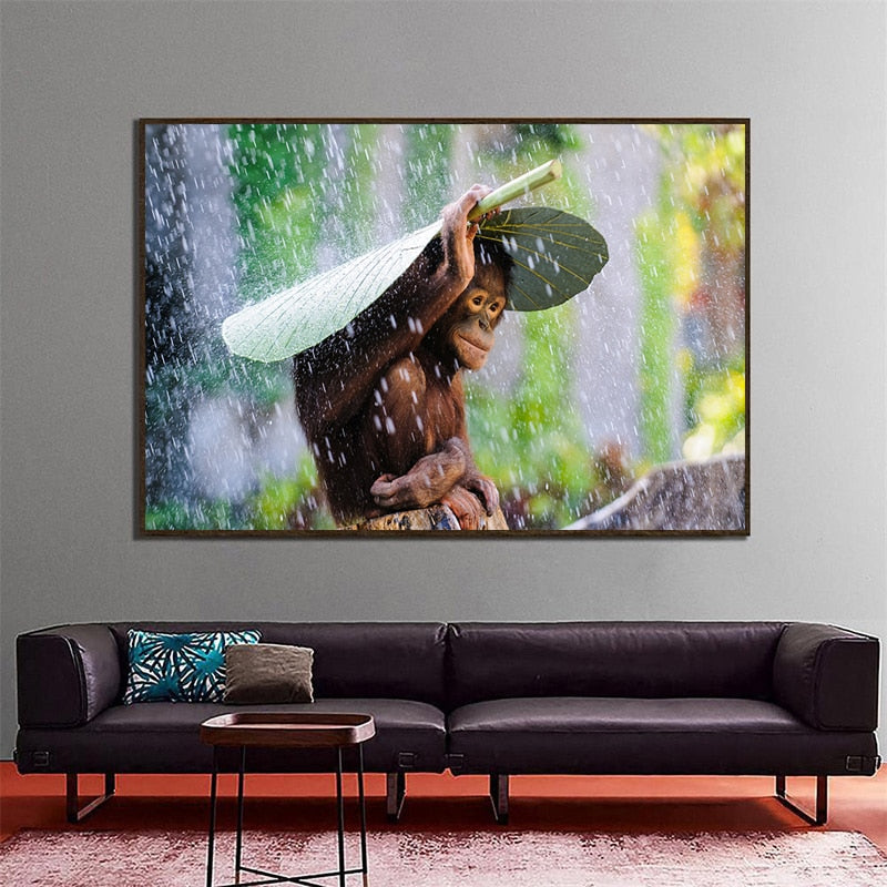 Cute Orangutan in Rain Canvas Print