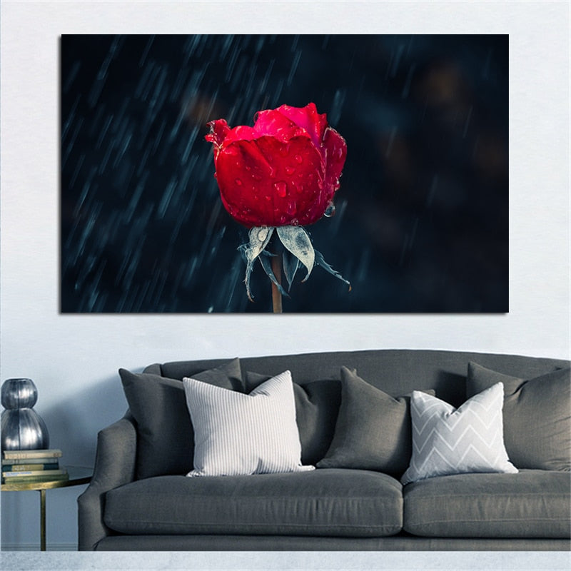Red Rose in Rain Canvas Wall Art