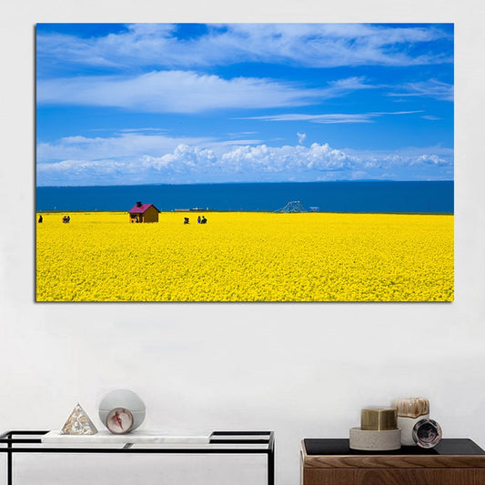 Blue Sky and White Clouds Pastoral Scenery