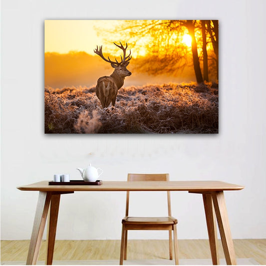 Elk and Sunset Lights Canvas Print