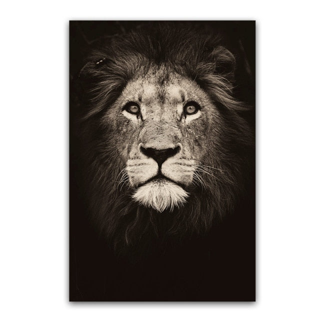Black and White Lion Wall Art